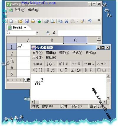 如何在WPS表格中輸入平方和立方符號