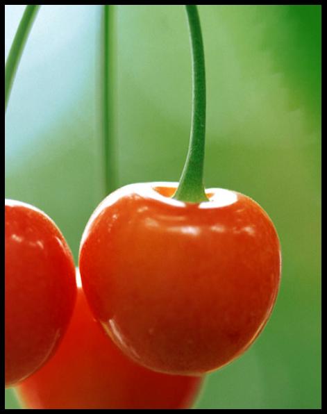 WPS文字技巧：和我一起畫櫻桃