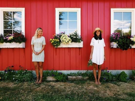 谷歌Pixel拍照樣張