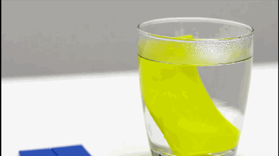 DIY超萌手機(jī)支架?只需要一分鐘和一杯熱水