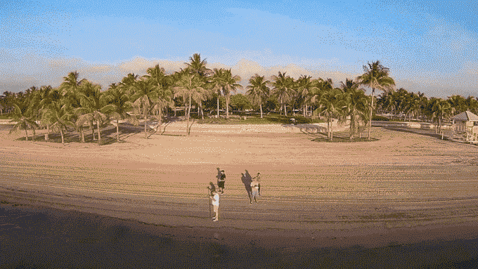 FLYBi:讓你體驗鳥兒般的第一人稱空中冒險