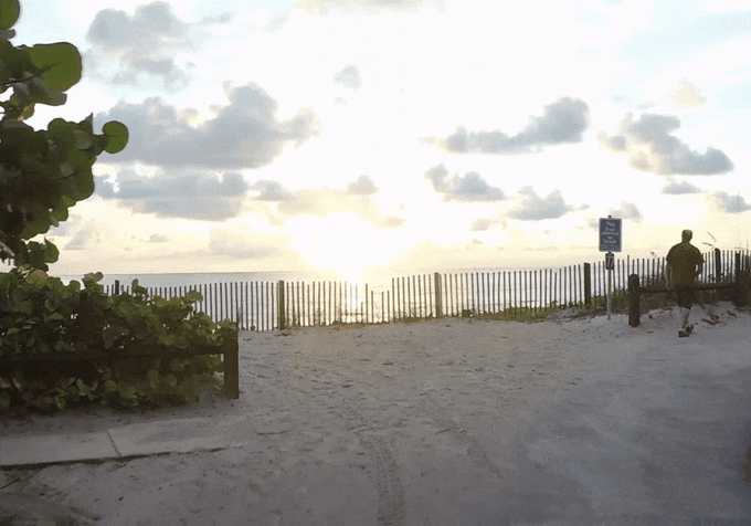 FLYBi:讓你體驗鳥兒般的第一人稱空中冒險