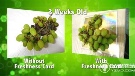 不浪費(fèi)！這個(gè)保鮮卡能讓大大延長(zhǎng)食物保質(zhì)期