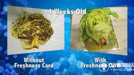 不浪費(fèi)！這個(gè)保鮮卡能讓大大延長(zhǎng)食物保質(zhì)期