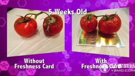 不浪費(fèi)！這個(gè)保鮮卡能讓大大延長(zhǎng)食物保質(zhì)期