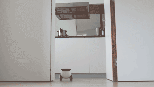 這款機器人不僅能賣萌 端茶送水逗寵物全精通