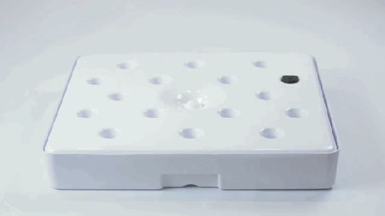 別羨慕人家別墅有菜園 這個農(nóng)場能放到你家里!