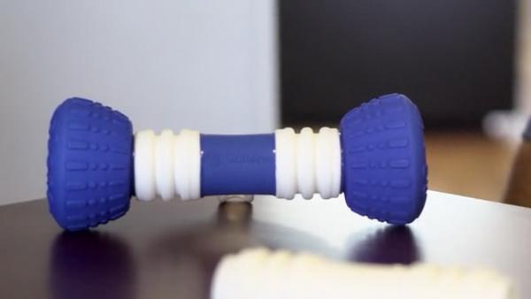 汪星人愛死它了!這根骨頭能和它們玩捉迷藏