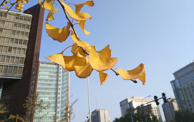 小米MIX值得買嗎 小米MIX概念機評測