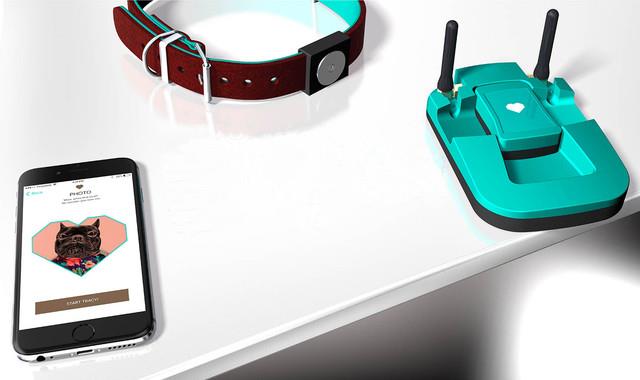 愛寵無人看護？別擔心人工智能已經來了 