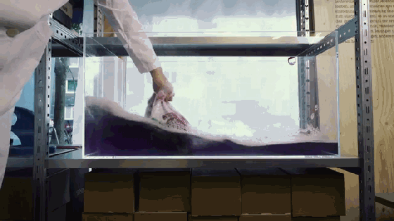 這款洗衣袋能呵護紡織衣物的纖維 關鍵是環保