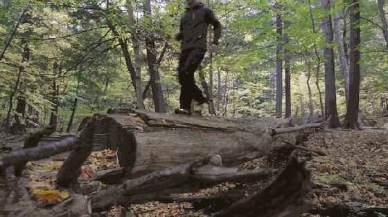 穿脫都超方便!能自動調(diào)節(jié)松緊的運動鞋來了