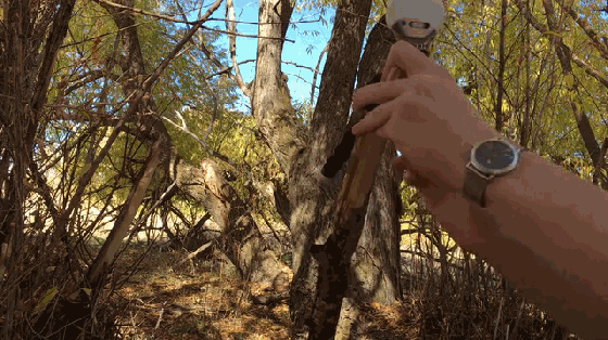 有了這款補光神器,隨便拍出單反效果美圖范兒
