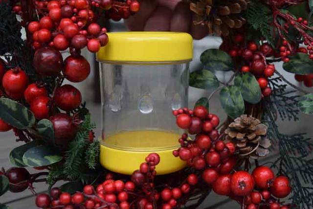 如何剝一顆完整雞蛋?這款小裝置幫你輕松做到