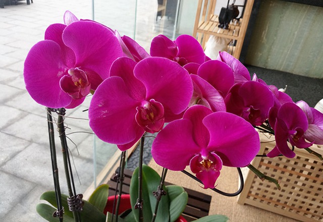 魅族PRO 6s發值得買嗎？魅族PRO 6s評測