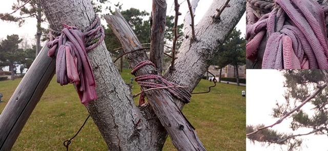 魅族PRO 6s值得買嗎？魅族PRO 6s評測