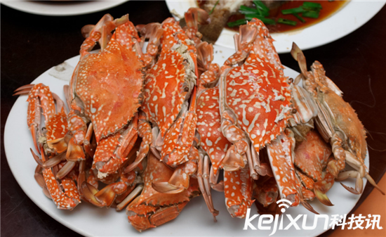 VR虛擬味覺技術(shù)已誕生 可以邊減肥邊享受美食