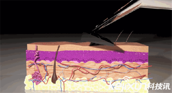 激光剃須刀： 無需換刀頭 每天享受干凈臉容
