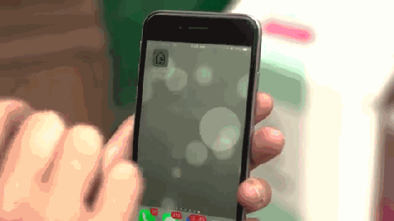 這個智能狗窩能有償“看狗” 再不怕出門丟狗