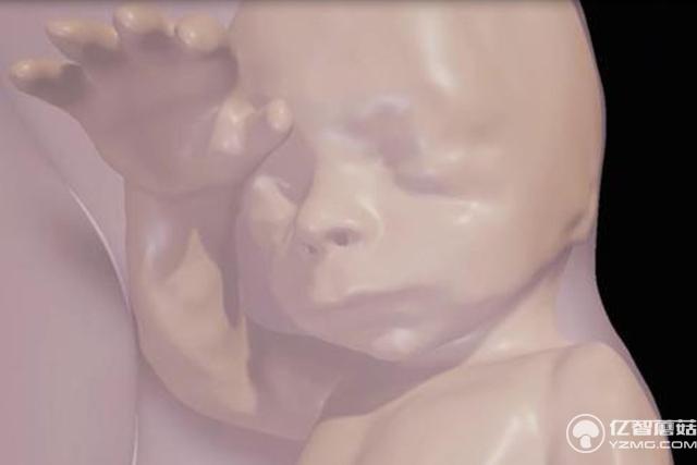 VR技術(shù)再顛覆:讓孕媽提前與肚子里的寶寶見(jiàn)面