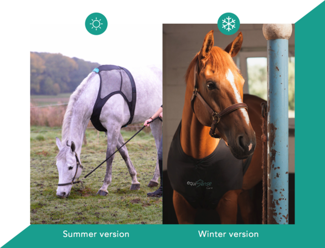 養馬的壕在哪呢？這是專為馬設計的可穿戴設備