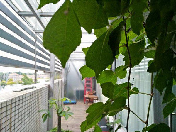 OPPO A57拍照怎么樣 OPPO A57拍照樣張