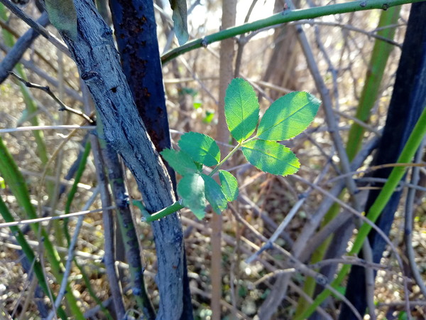 色彩通透 色彩通透