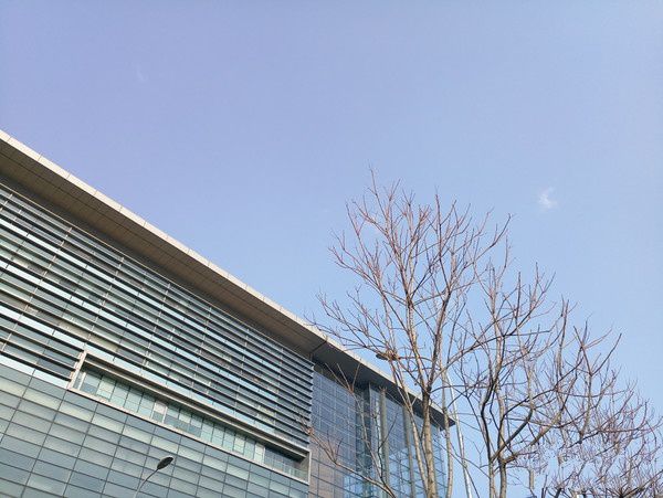 觀感舒服 觀感舒服