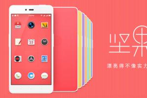 堅果手機(jī)怎么購買 堅果手機(jī)購買指南