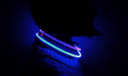 戴上這款心率監測LED項圈 喜怒哀樂都在脖子上