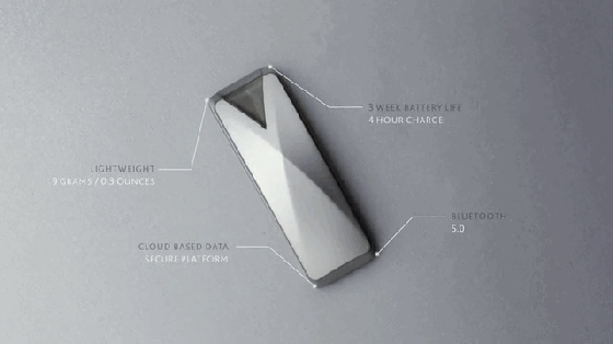 自己都養不好怎么養狗?這個項圈能幫你照顧狗狗