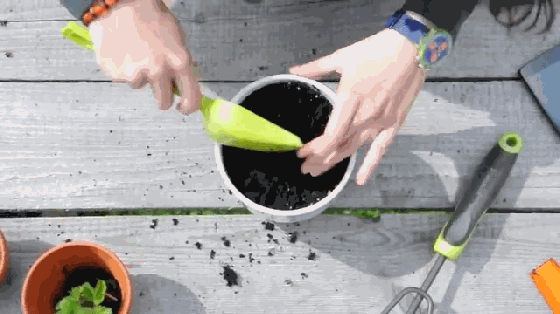 玩土也得玩出水平 專為孩子打造的智能園藝套件