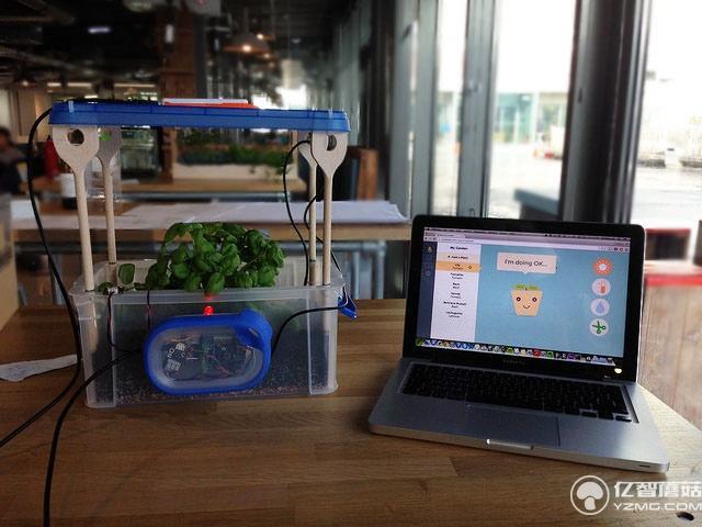 玩土也得玩出水平 專為孩子打造的智能園藝套件