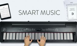 三分鐘熱度學好樂器！這款DODEKA演奏套裝讓你速成大師