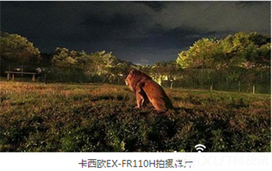 卡西歐推出新款相機(jī):僅190像素 夜景拍攝神器