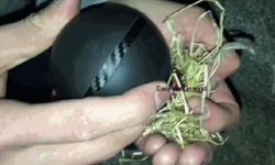 有了ARC點火器  不會貝爺那套在野外也能生起火