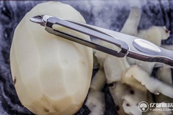 這個(gè)削皮刀能用一輩子 送老媽她肯定喜歡