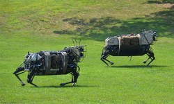 先別想無人機，谷歌開始考慮用機器狗送貨