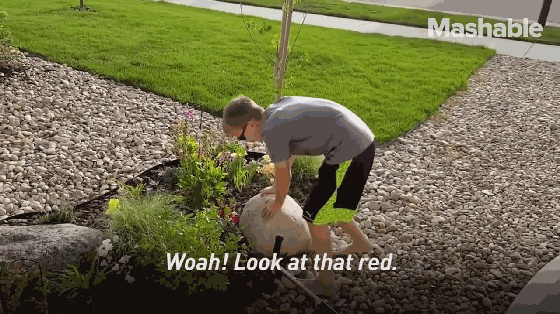 這款太陽能眼鏡不止能裝酷 還能矯正紅綠視覺障礙