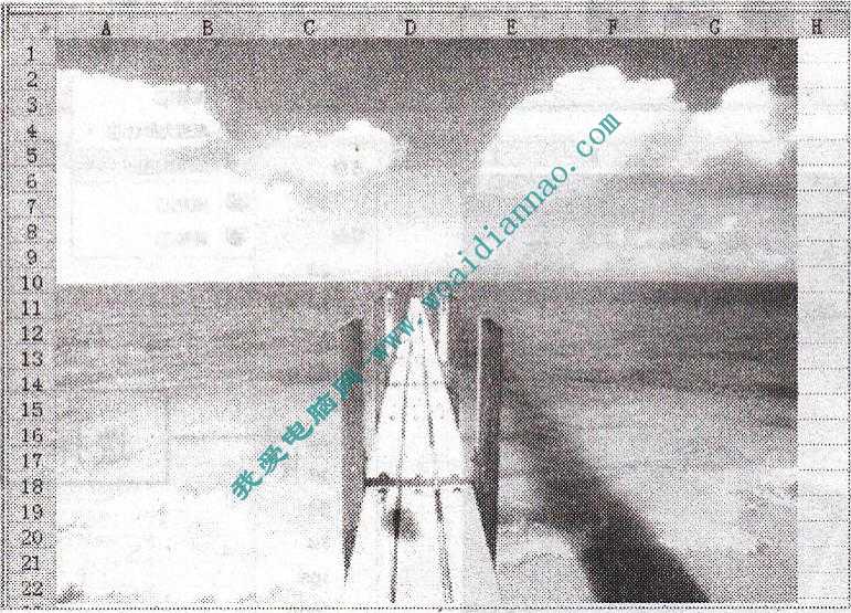 在Excel2010中設置圖片屬性