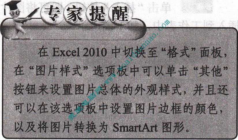 在Excel2010中設置圖片屬性