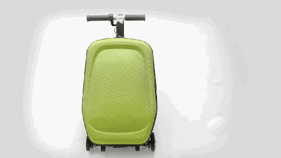 這不就是大媽買菜的神器？只不過帶個電動滑板車