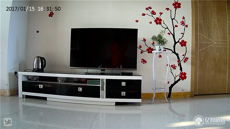 1484543548298002.png 小蟻白天高清.png