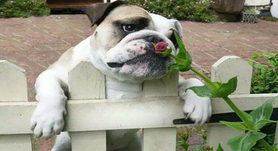 情人節送什么？這些科技產品值得一看！