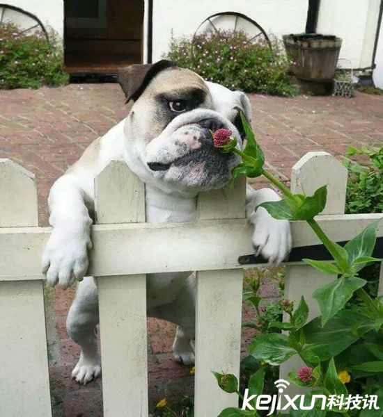 情人節送什么？這些科技產品值得一看！