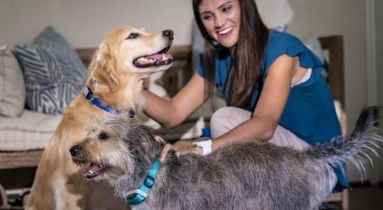 人不如狗 盤點那些有趣的寵物智能穿戴 人不如狗 盤點那些有趣的寵物智能穿戴