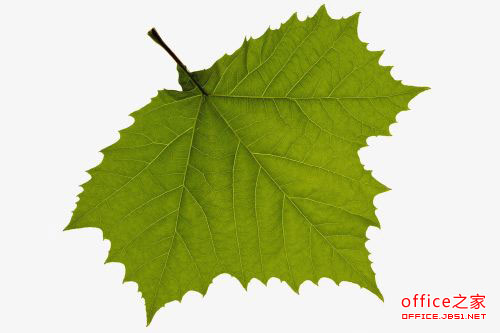 PPT中插入圖片的背景色去除方法