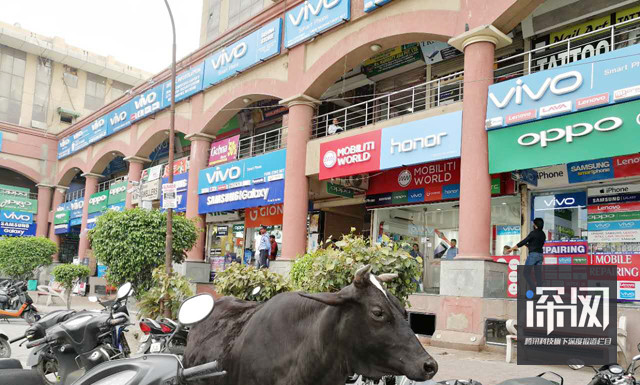 OV金立小米齊發力 國產手機們如何奪取印度半壁江山?