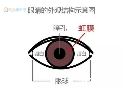 虹膜識別和眼紋識別哪個好?虹膜識別和眼紋識別的區(qū)別