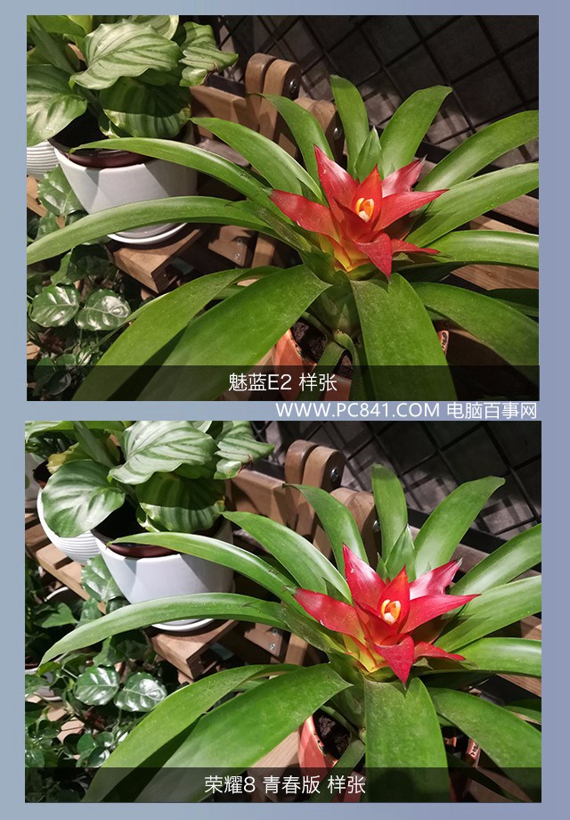 魅藍E2和榮耀8青春版拍照哪個好 樣張對比